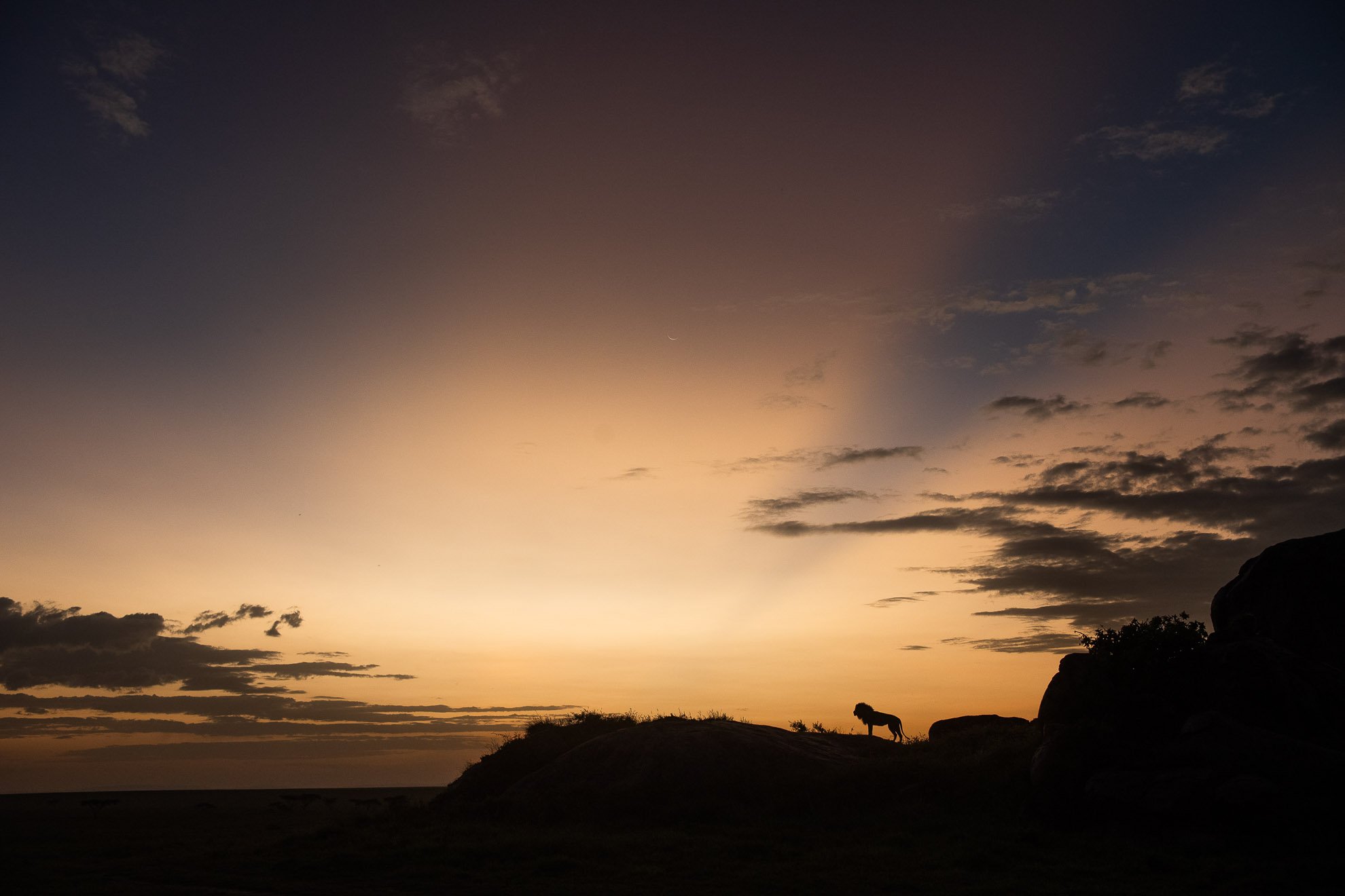 رحلة سفاري الصور في فرنسا: استمتع بأفضل وجهات التصوير